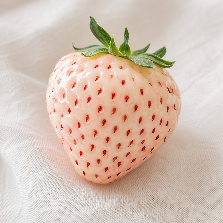 希少品種（白いちご）